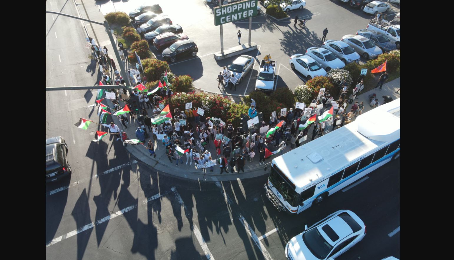 Manifestacja pro-palestyńska.