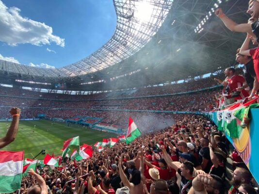 Węgierski "młyn" na meczu z Francją