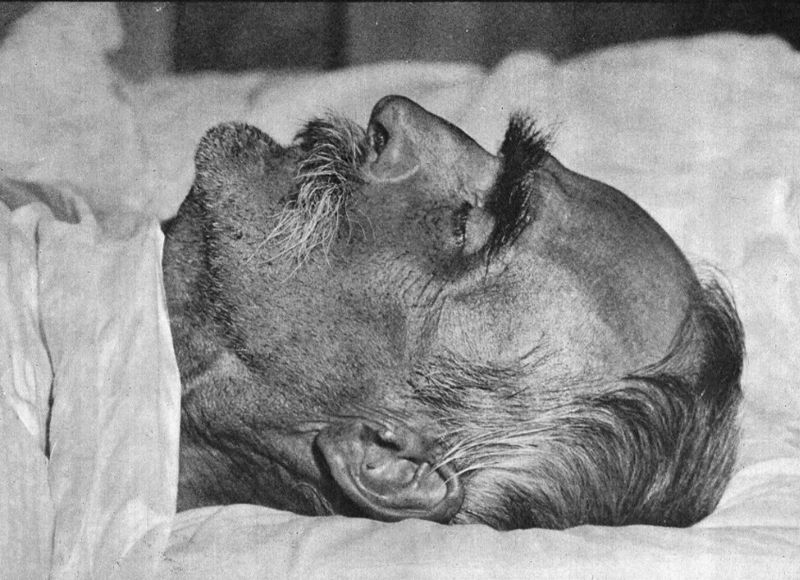 pośmiertne zdjęcie Piłsudskiego Wikipedia