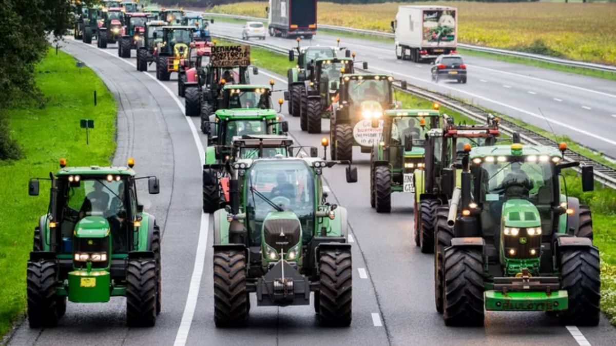Holendersy rolnicy protestującą przeciwko szkodliwym przepisom