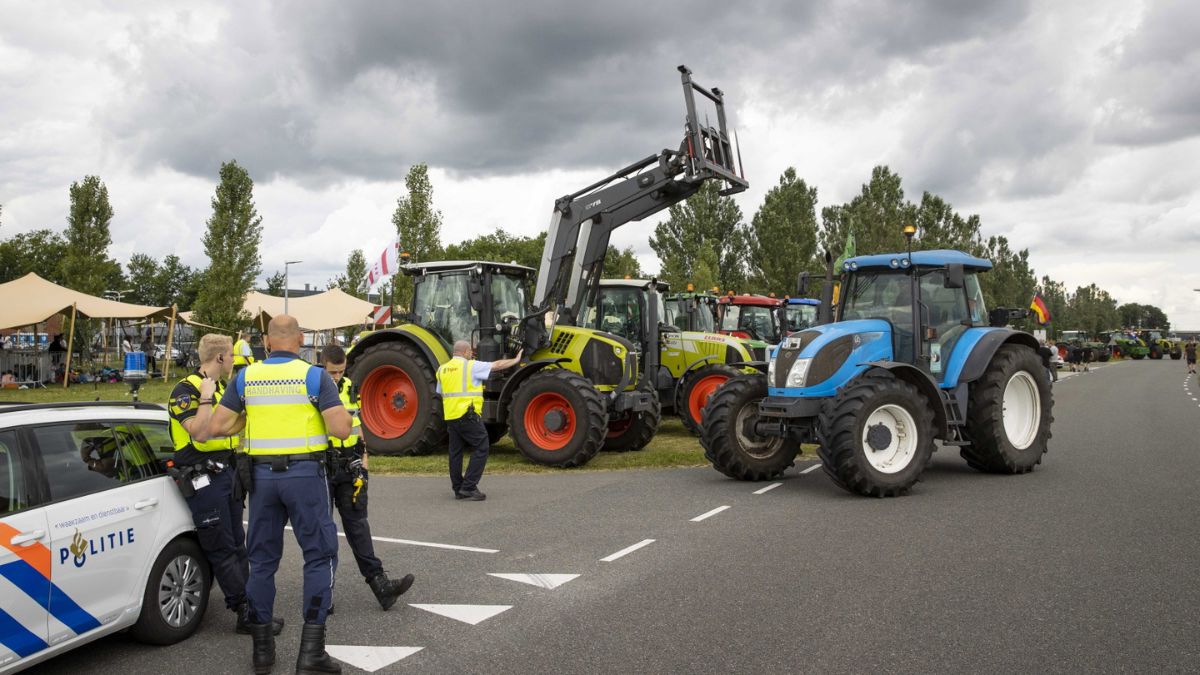 Holenderski sąd skazał młodych rolnikó