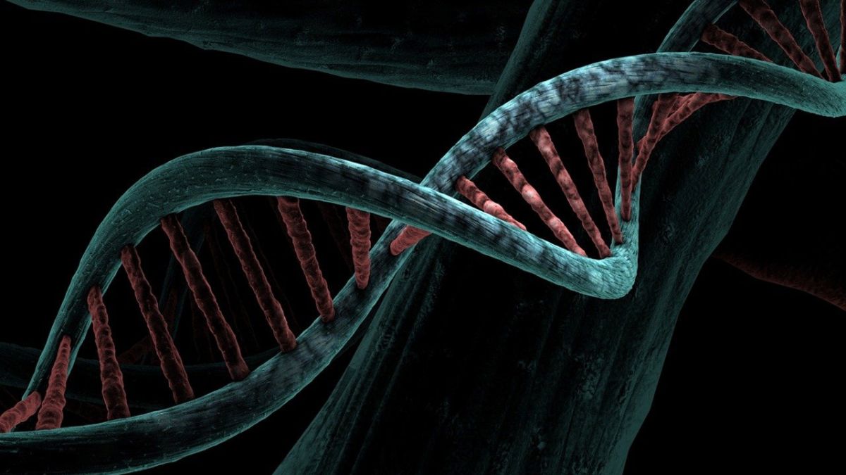 DNA i nowe mutacje